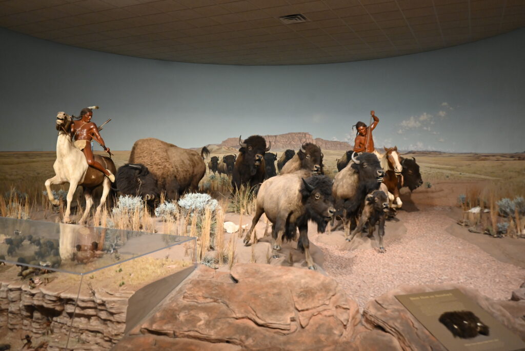 Milwaukee Public Museum Exhibit