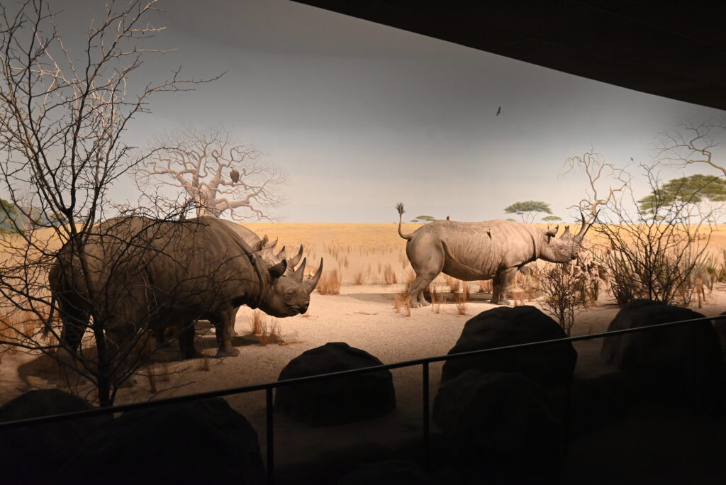 Milwaukee Public Museum Exhibit