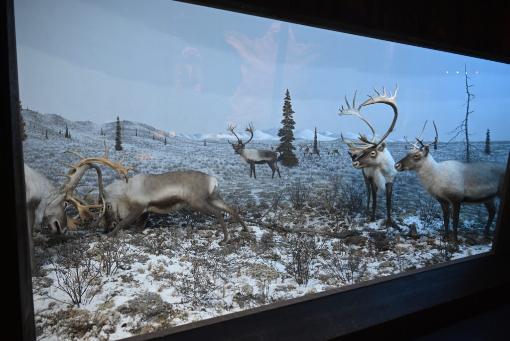 Milwaukee Public Museum Exhibit